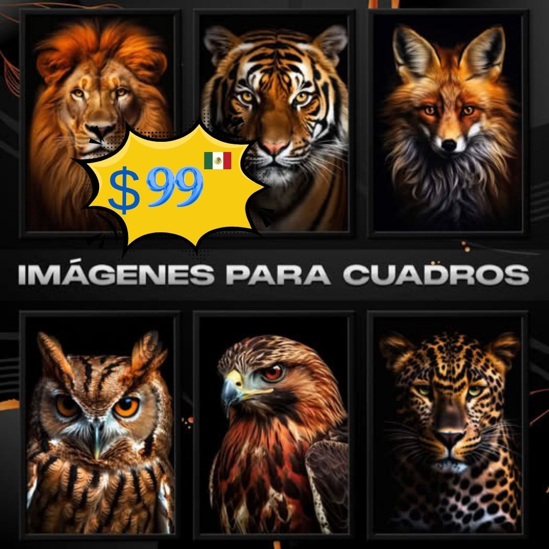 Imágenes exclusivas y súper organizadas